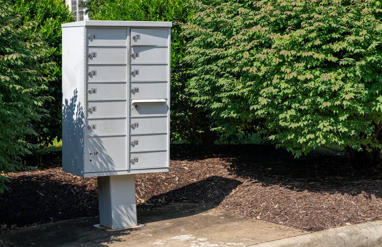 Community-style mailbox post in a landscaped Louisville-area neighborhood